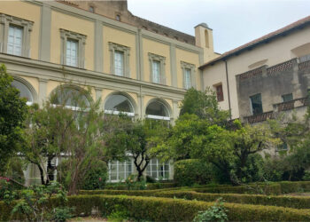 Master in criminologia dell’Università Suor Orsola Benincasa: candidature aperte