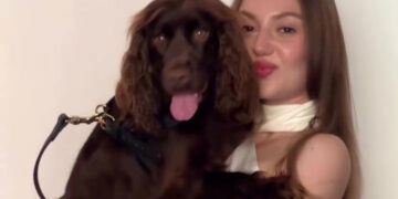 Barney, il cocker che fa innamorare il web con sguardo e simpatia