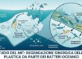 A batteri “spazzini” il compito di divorare la plastica negli oceani