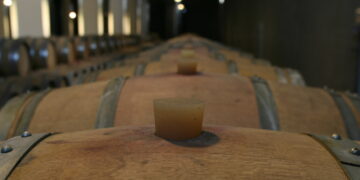 Uiv-Vinitaly, export made in Italy punti sul valore +3,5% in tre anni