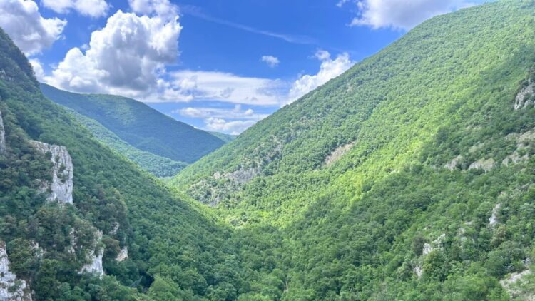 L’Italia è diventata una nazione forestale, superati i 100mila km quadrati