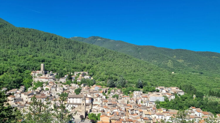 Punto da una vespa, sindacalista 38enne muore in valle Varaita